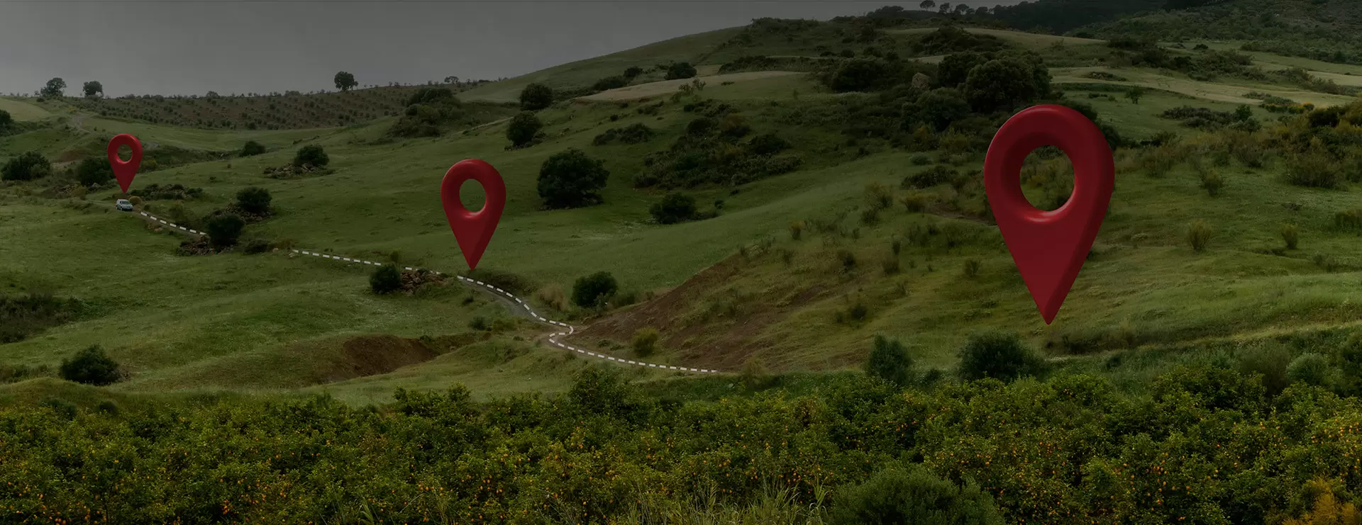 DOURO PORTO WINE FESTIVAL - O FESTIVAL